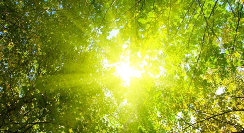 El Poder de la Mente Positiva por el Dr. Joseph Michael Levry