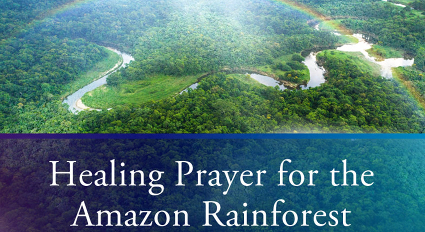 Healing Prayer for the Amazon Rainforest from Dr. Joseph Michael Levry