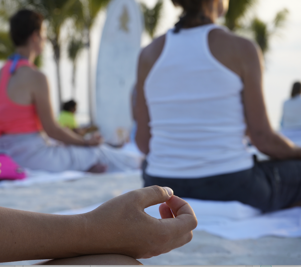 Wellness Package-Health and Transformation Mini Retreat