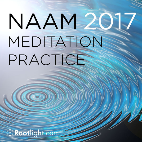 2017 Year Long Meditation Series