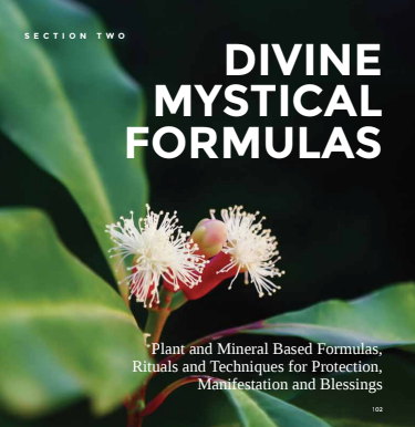 The Divine Spiritual Alchemy Handbook 2020